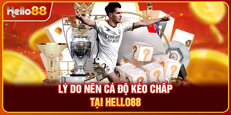 Lý do nên cá độ kèo chấp tại Hello88