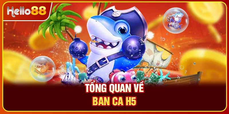 Tổng quan về ban ca H5